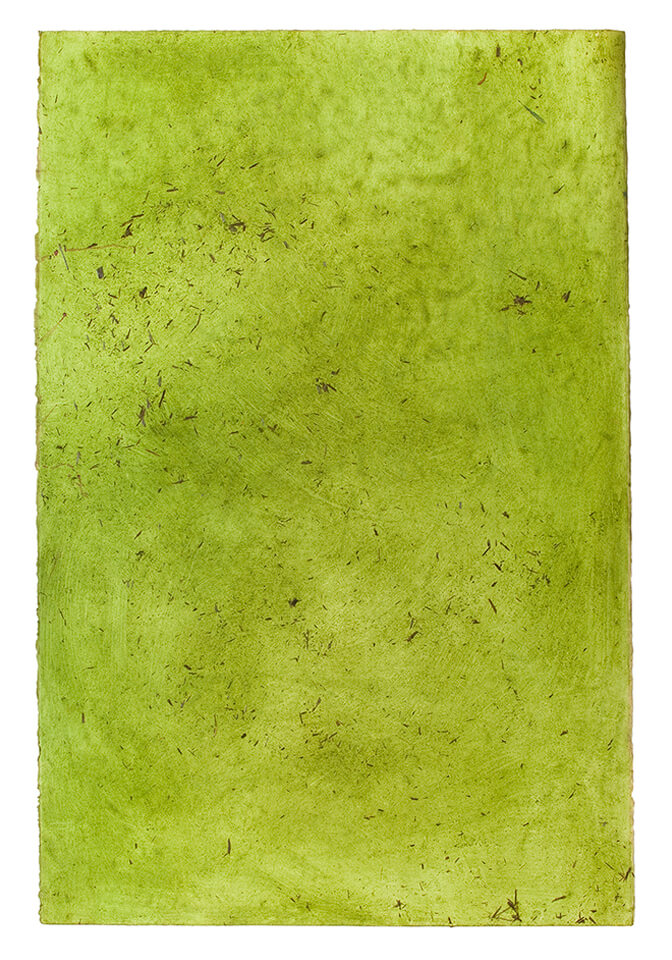 chontaduro papel 15.jpg